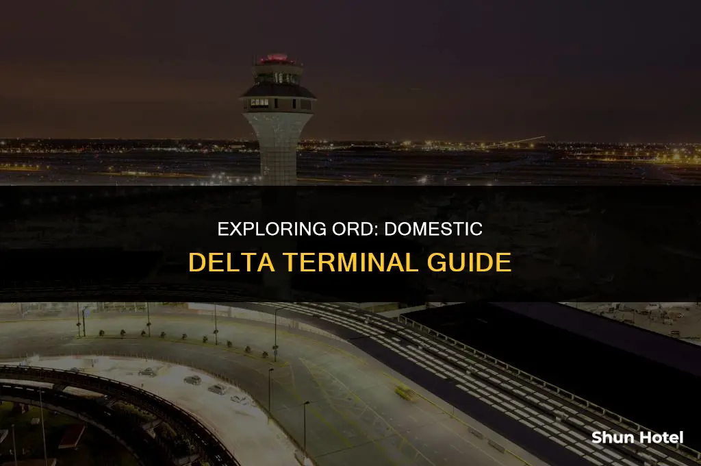 what terminal is domestic delta at ord airport