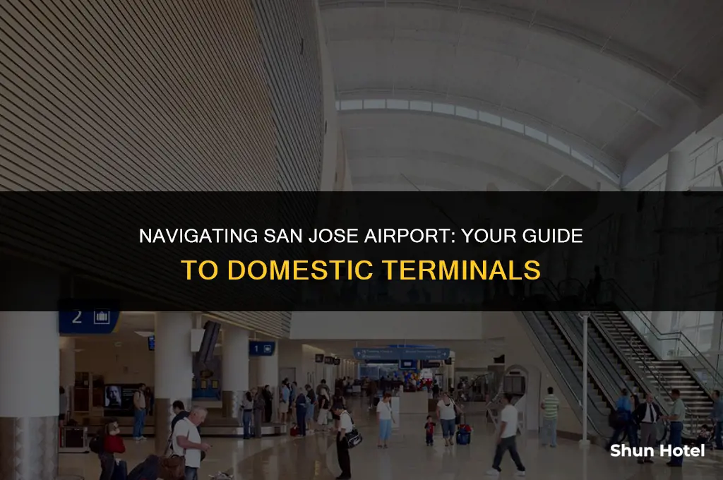 what terminal is domestic san jose airport