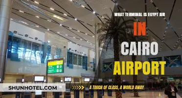 Exploring Cairo Airport: EgyptAir's Terminal Guide