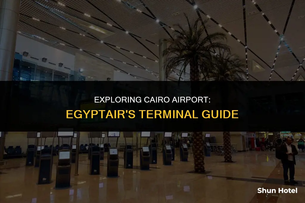 what terminal is egypt air in cairo airport