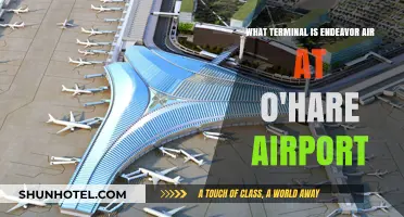 Endeavor Air's Terminal at O'Hare: Your Complete Guide