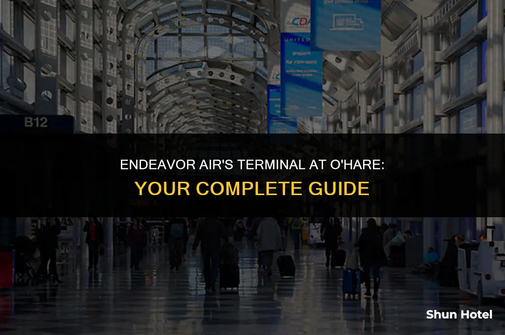 what terminal is endeavor air at o