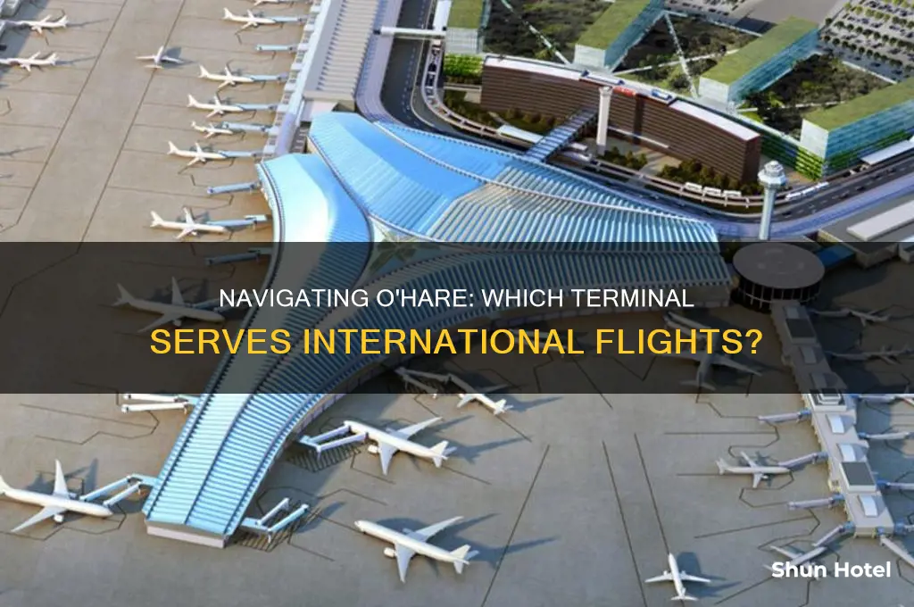 what terminal is fir international flights at o