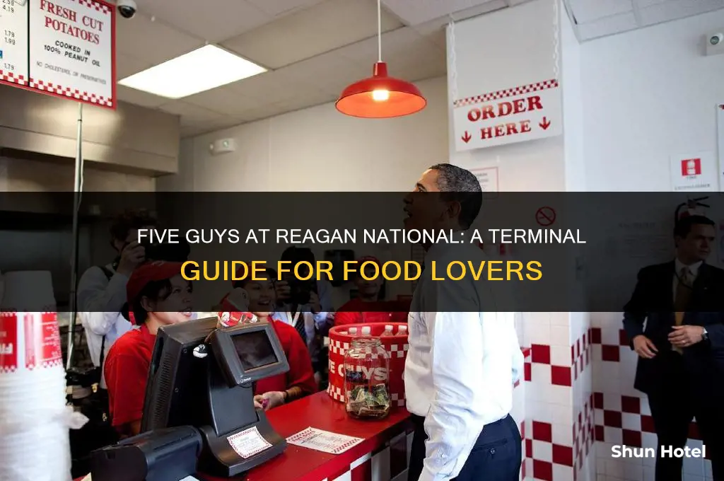 what terminal is five guys at reagan national airport