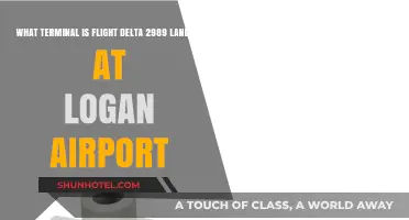 Delta 2989's Logan Airport Landing: Which Terminal Awaits?