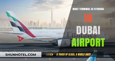 Discover Flydubai's Terminal at Dubai Airport: Your Ultimate Guide