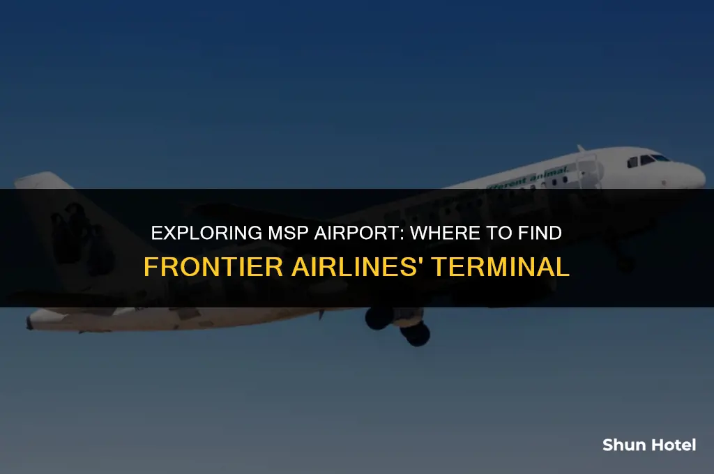 what terminal is frontier at msp airport