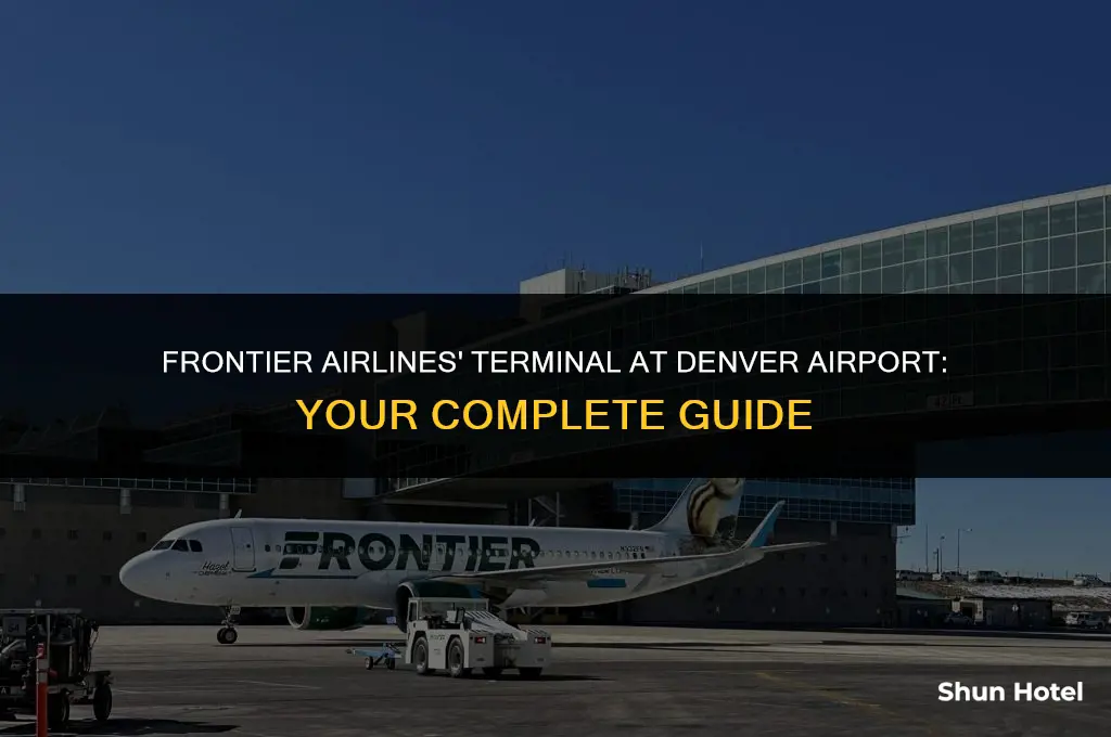 what terminal is frontier at the denver airport