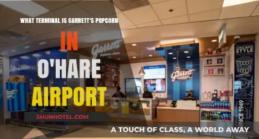 Where to Find Garrett's Popcorn at O'Hare Airport: A Traveler's Guide