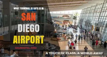 Exploring San Diego Airport: Gate 11's Terminal Guide