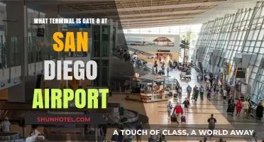 Navigating San Diego Airport: Gate 8's Terminal Guide