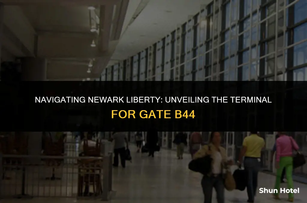 what terminal is gate b44 in ewr airport