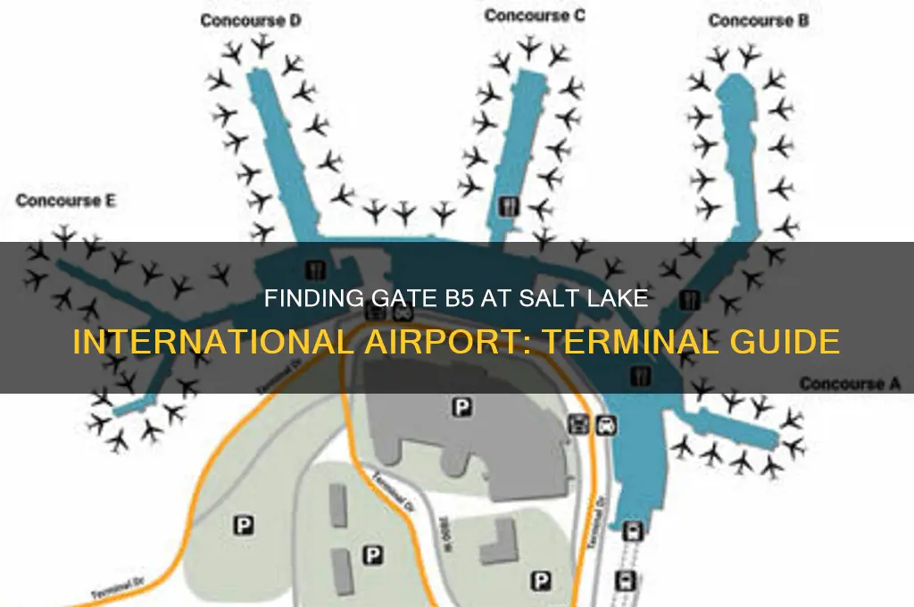 what terminal is gate b5 at salt lake international airport