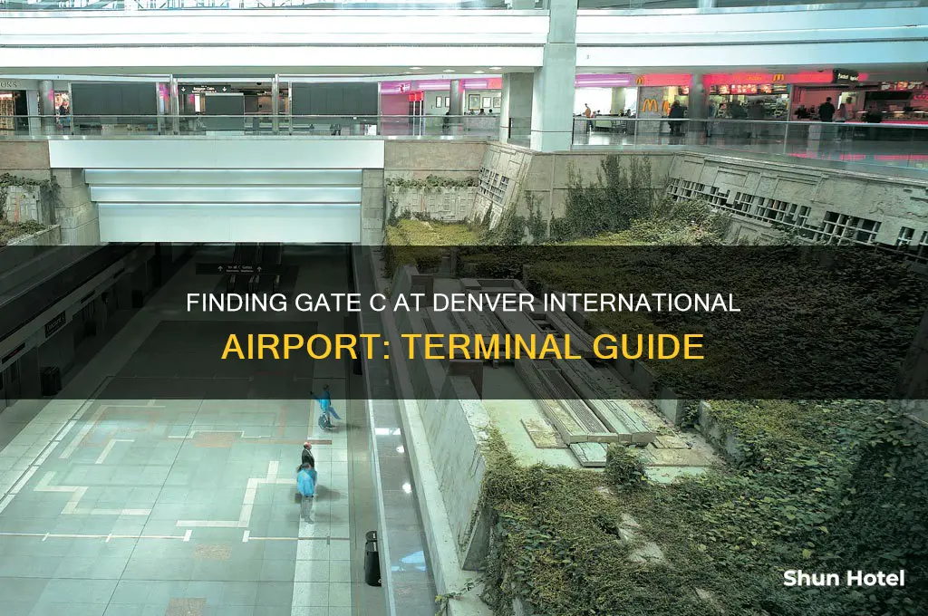 what terminal is gate c at denver international airport