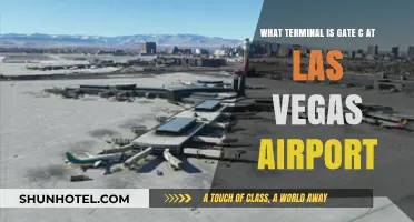 Navigating Las Vegas Airport: Gate C Terminal Guide
