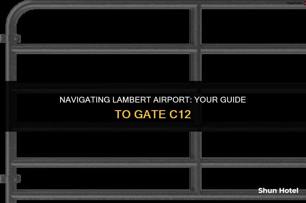 what terminal is gate c12 at lambert airport