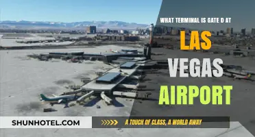 Navigating Las Vegas Airport: Gate D Terminal Guide