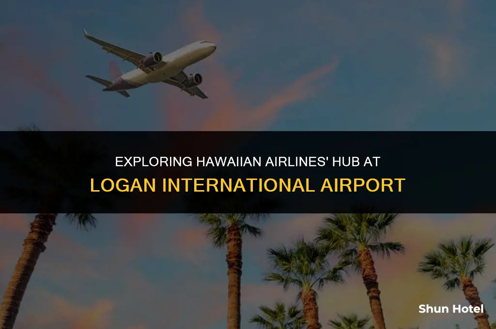 what terminal is hawaiian air logan airport