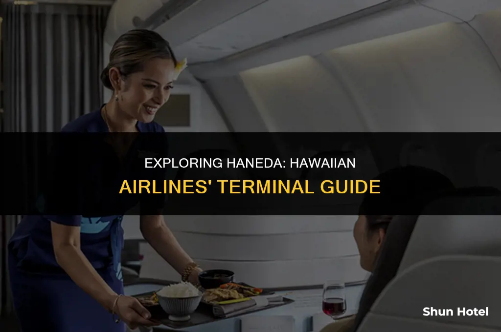 what terminal is hawaiian airlines at haneda airport