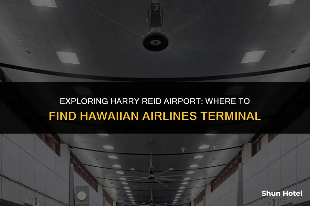 what terminal is hawaiian airlines at harry reid airport