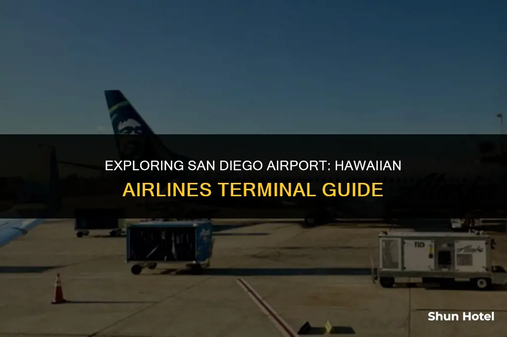 what terminal is hawaiian airlines at san diego airport