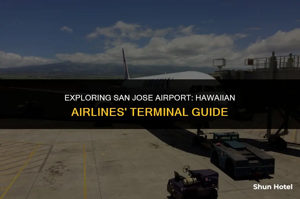 what terminal is hawaiian airlines at san jose airport