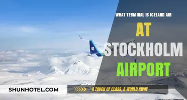 Exploring Stockholm Airport: Iceland Air's Terminal Guide