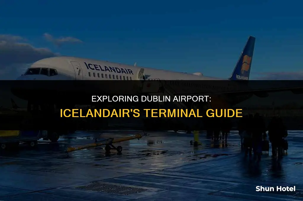 what terminal is icelandair at dublin airport