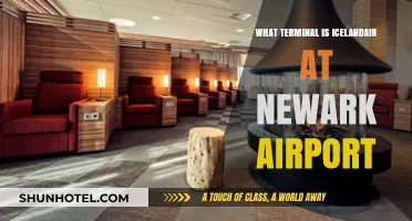 Exploring Newark Airport: Icelandair's Terminal Guide