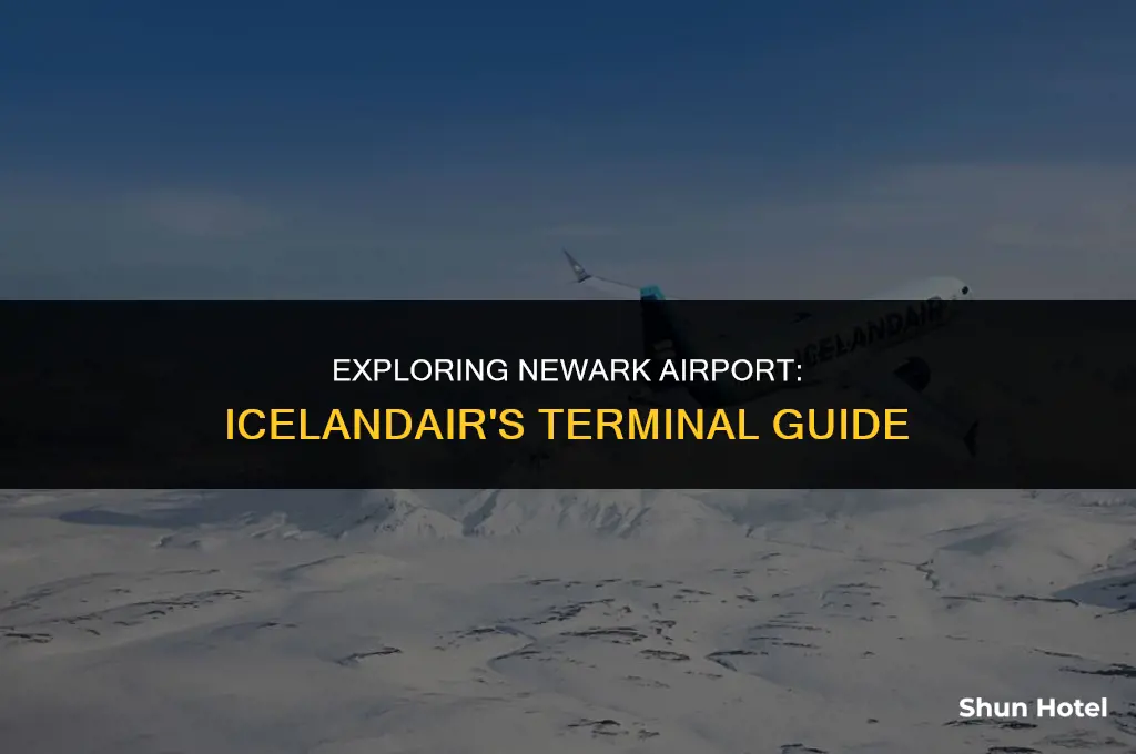 what terminal is icelandair at newark airport