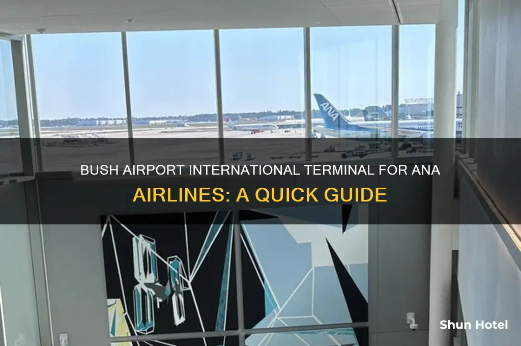 what terminal is international at bush airport ana airlines
