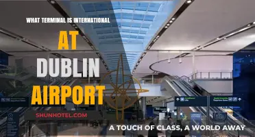 Navigating Dublin Airport: Which Terminal Handles International Flights?