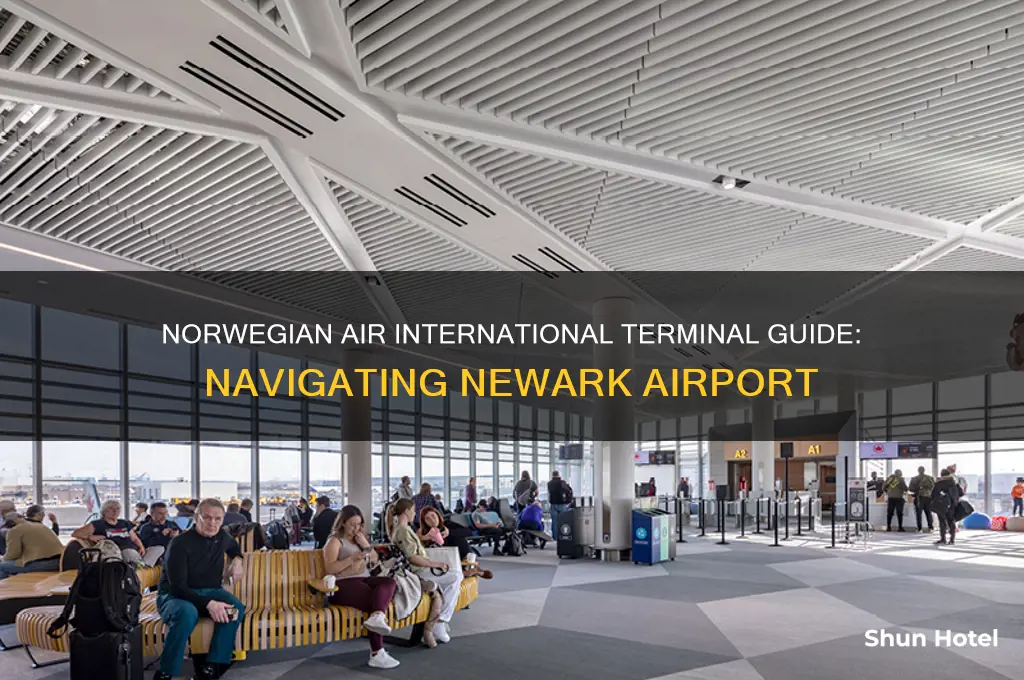 what terminal is international norwegian air at newark airport