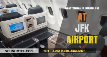 Which Terminal Does Istanbul Airlines Use at JFK Airport?