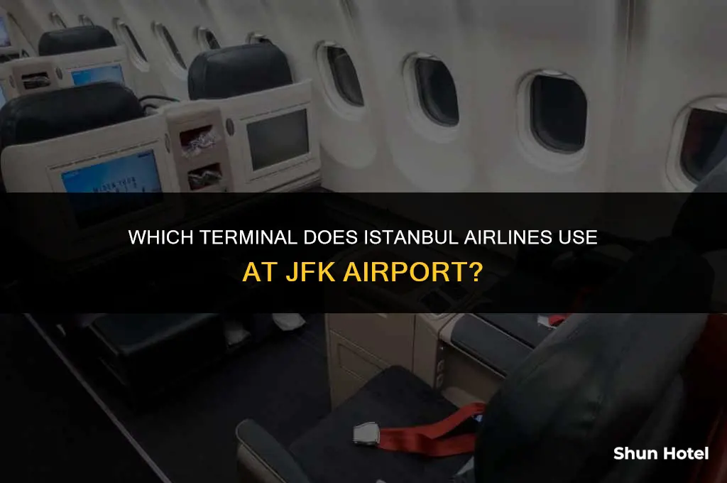 what terminal is istanbul use at jfk airport