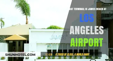 Exploring LAX: A Guide to James Beach's Terminal Location