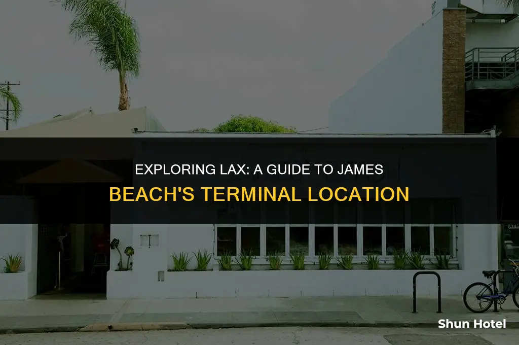 what terminal is james beach at los angeles airport