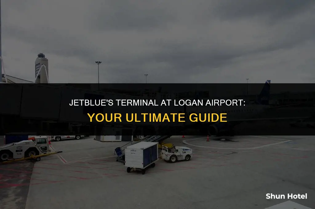 what terminal is jet blue at logan airport