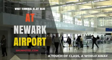 Jet Blue's Newark Airport Terminal: Your Ultimate Guide