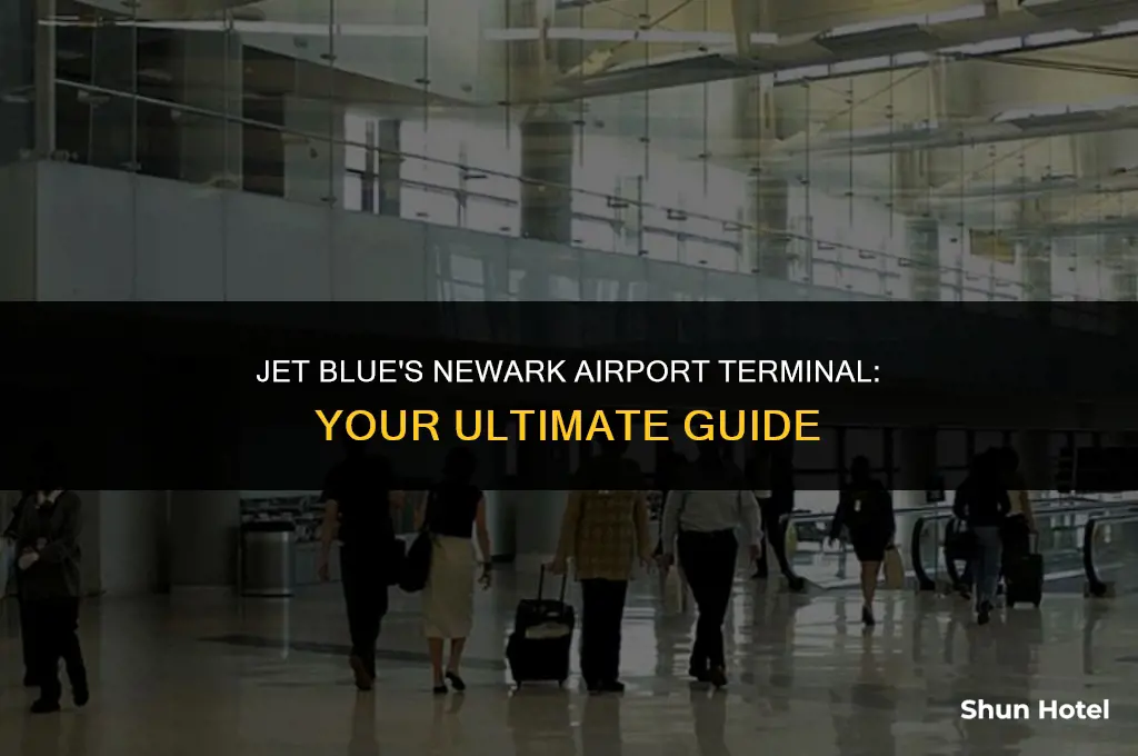what terminal is jet blue at newark airport