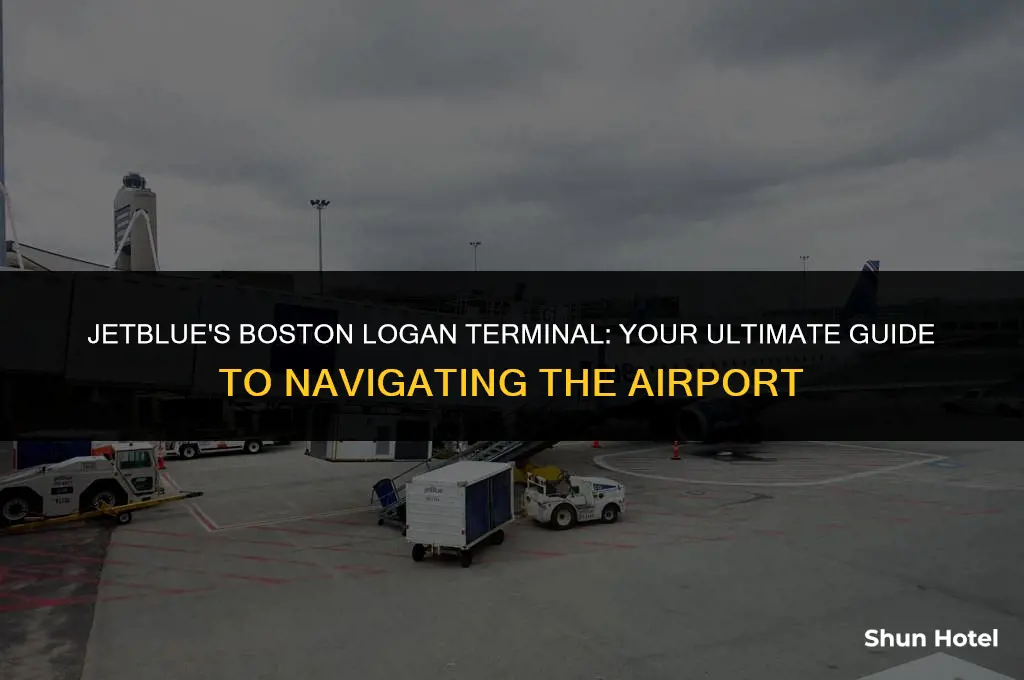 what terminal is jetblue airlines at boston logan airport
