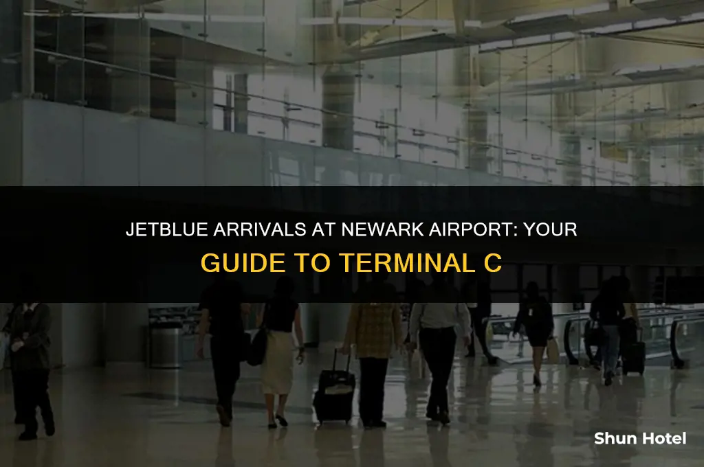 what terminal is jetblue arrivals at newark airport