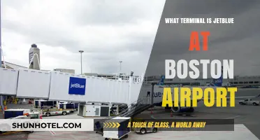 JetBlue's Boston Airport Terminal: Your Ultimate Guide