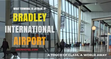 JetBlue Terminal Guide: Navigating Bradley International Airport with Ease