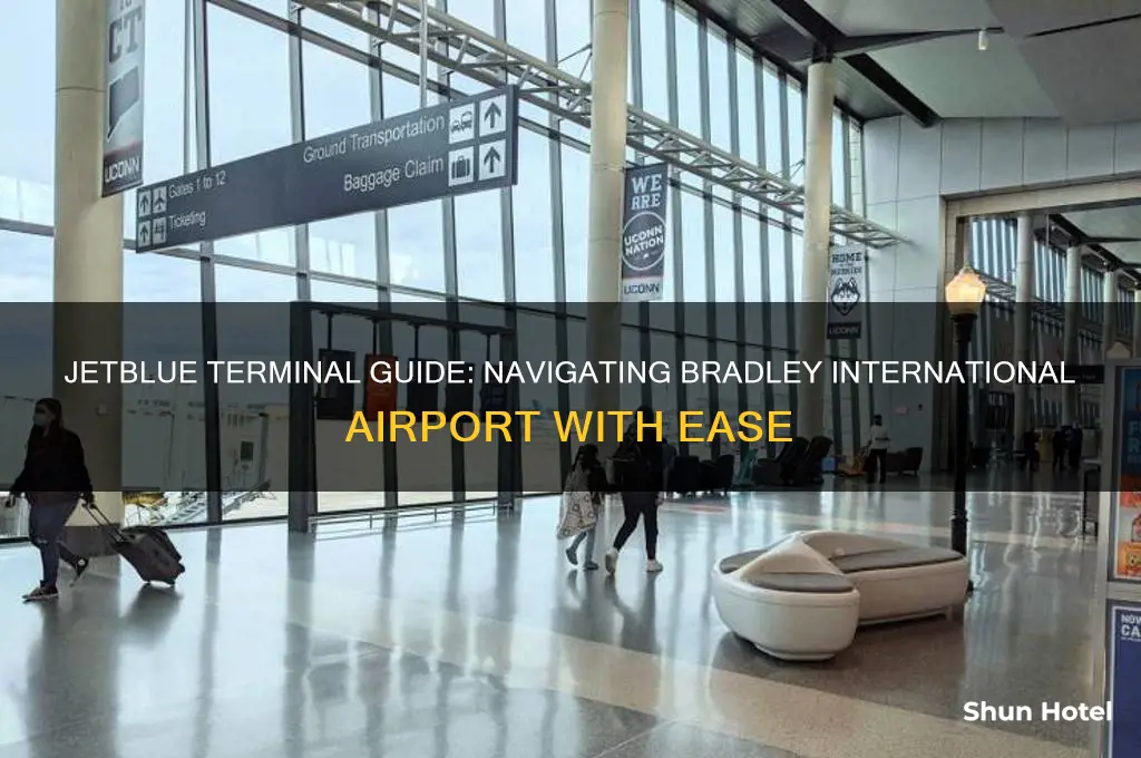 what terminal is jetblue at bradley international airport