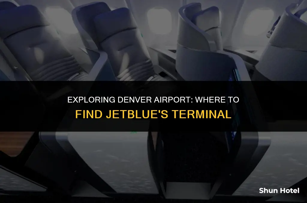 what terminal is jetblue at denver airport