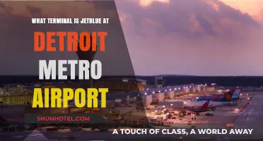 JetBlue's Terminal at Detroit Metro: Your Complete Guide