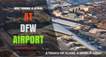 JetBlue's DFW Terminal: Your Ultimate Guide to Navigation and Amenities