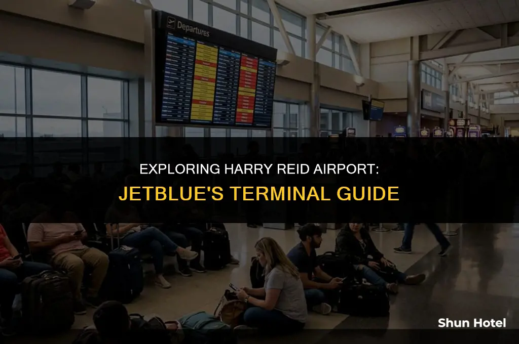 what terminal is jetblue at harry reid airport