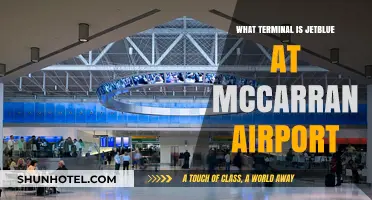 JetBlue's Terminal at McCarran: Your Ultimate Guide to Smooth Travels